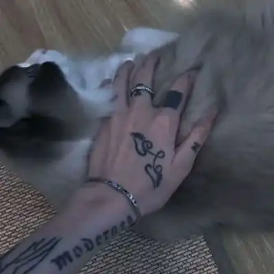 满足手控的男生头像帅气合集