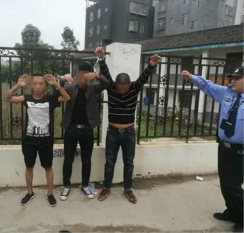 西昌3男子药店盗窃2小时被抓