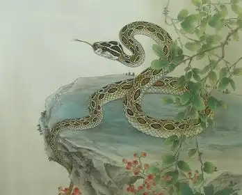 让女人寻死觅活,男人都羡慕的生肖男