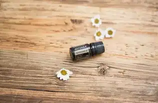 檀香与我来一场静心的修行丨dō植物