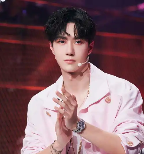 肖战王一博接连因综艺引争议,哗众取宠何时能停恐怕永远不会