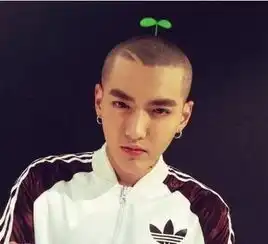 吴亦凡井柏然杨洋卡尺头发型图片谁能帅出天
