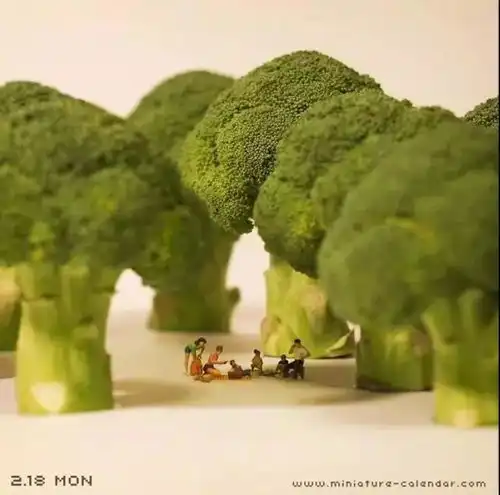 日本设计师坚持七年,终于打造了一个百万网友向往的童话王国