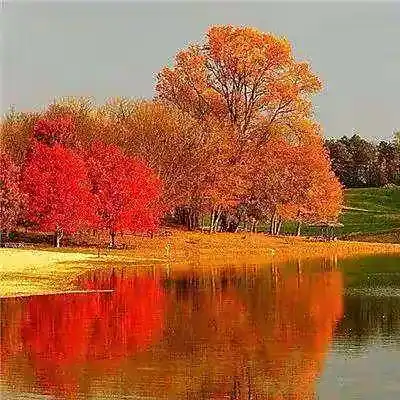 若恒大破产,将会带来什么影响