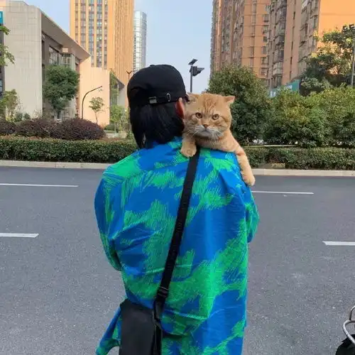 男生头像你已经很好了