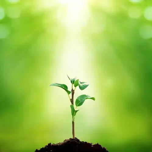 谁言寸草心,报得三春晖