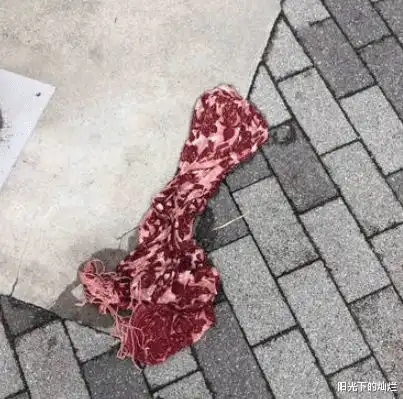 你可以把家拆了,但是这个绝对不是你能碰的,哈哈哈