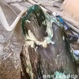 男子山中挖出古怪枯木,以为是冰种翡翠,专家的话却让他傻眼了
