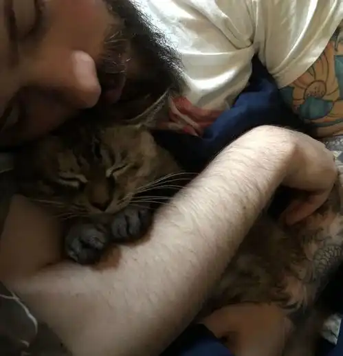 一组温暖可爱的图片当男人养了猫,每天的画面是这样的