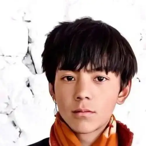 91件丁真相关商标被驳回申请公司计划用于卫生纸调味品等