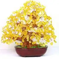 微信头像摇钱树好不好微信头像图片大全