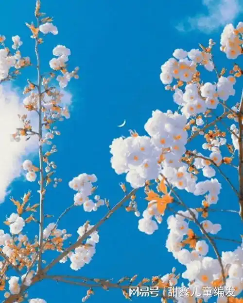 男子意外发现两个儿子非亲生,丈夫崩溃,妻子应该是你的呀