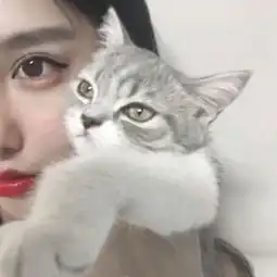 漂亮女生怀抱可爱小动物头像大全好想你但又不敢去打扰你