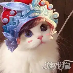 王者荣耀猫咪头像原图男女英雄猫咪头像无水印