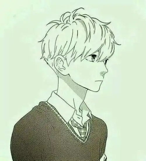 一般动漫男生头像有哪几种的,求这一种的