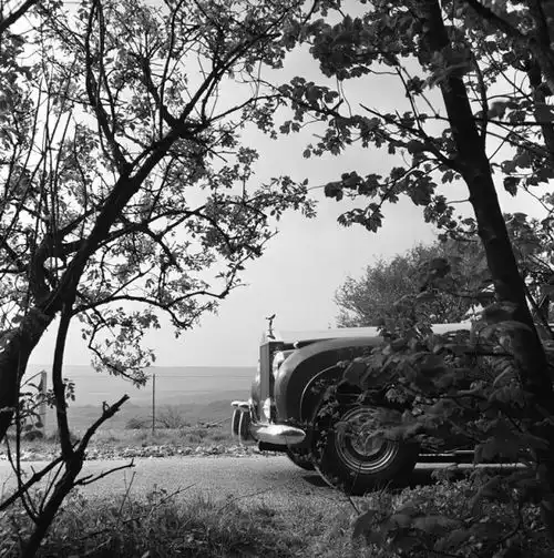 七夕,四个增添约会情调的加分锦囊