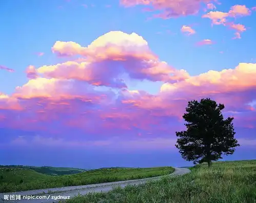 你长大了希望自己从就什么行业