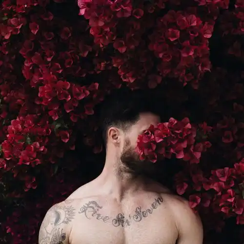 公式光的光呆的相册花吃了那男孩