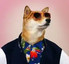 纽约宠物狗穿男装造型走红成网络明星