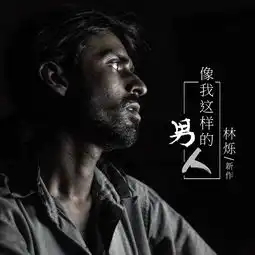 像我这样的男人dj版林烁高音质在线试听像我这样的男人dj版歌词歌曲下载酷狗音乐