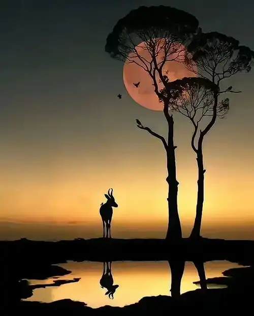 男人过了六十,进入养寿期,不管多有钱,都会遇到四道难关,很准