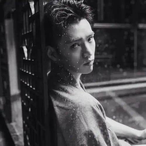 四季很普通,冷暖都是因为有回应