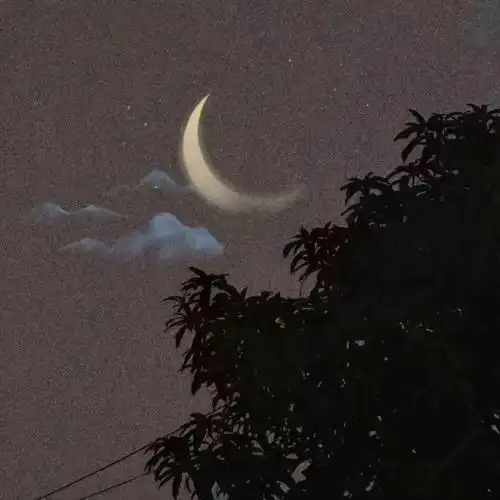 背景图没有期待也没有意外