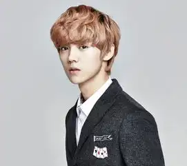 明星粉丝应援口号赵丽颖暖心陈伟霆特别舒嘉颖霸气