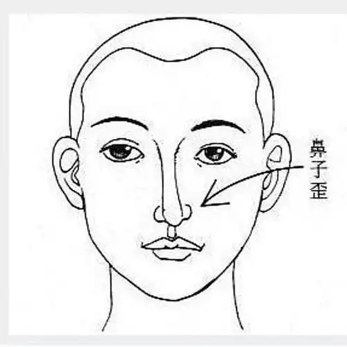 面相看人生运程之鼻篇
