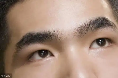 财运好不好,看眉毛和鼻子就知道