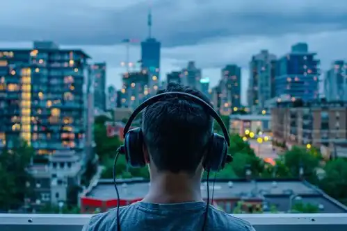 戴耳机的创意青年背影摄影图下载至来源处