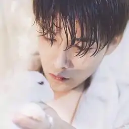 花隐视频直播全集花隐资料大全yy官方