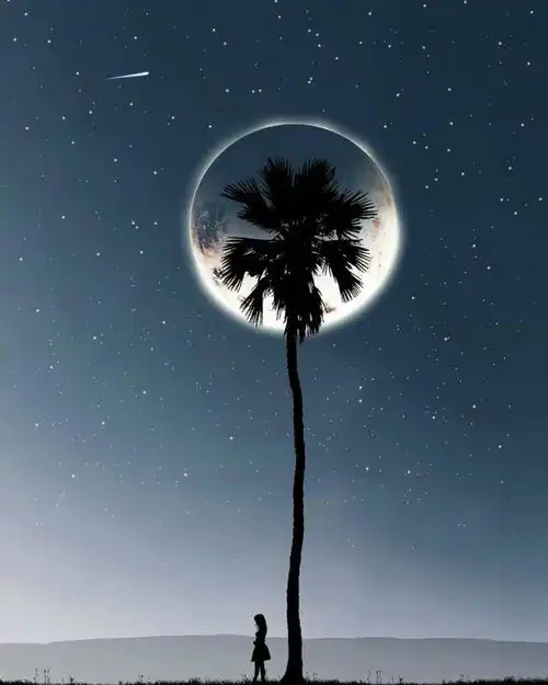 优美的晚安心语,简单干净,选一句发朋友圈