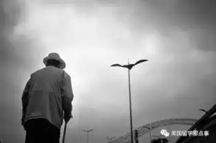 你们都移民吧,留下我在国内孤独终老