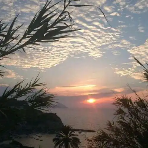 温柔到骨子里的置顶文案,干净有气质