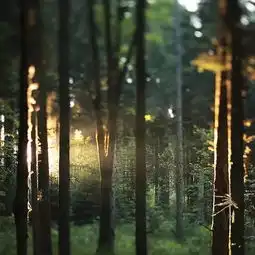 安静些,你和别人没什么不一样