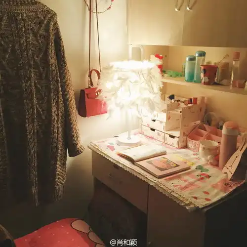 700元将宿舍打造成诗意般的居住地,这个广大大二学生,劲