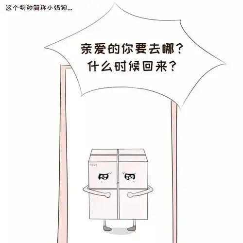 漫聊小奶狗男生为什么这么受欢迎