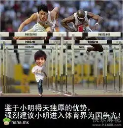 小四,刘翔就靠你继承了