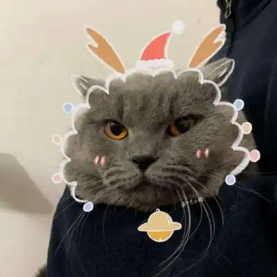 时隔109天想念想他