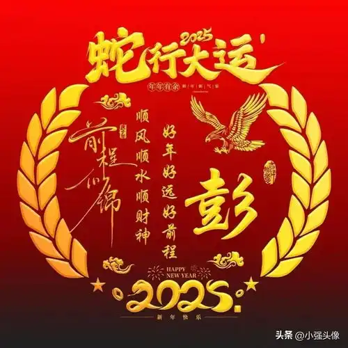 ai绘画姓氏头像邓郭郑齐张周吴林王陈罗