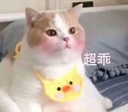 可以给男朋友留言的可爱搞笑小句子