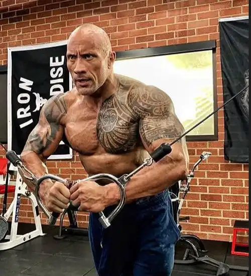 为何说肌肉男跟奥尼尔合影是自取其辱,我看了这10张照片才明白