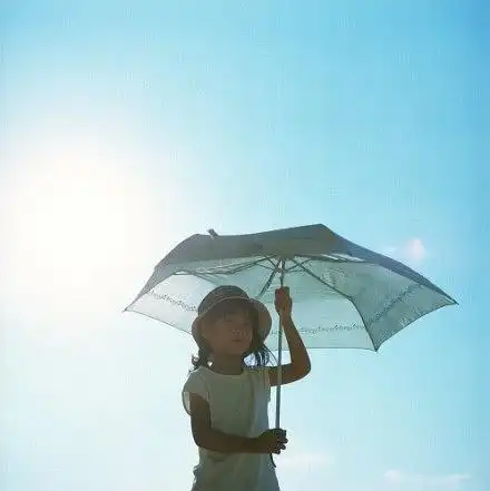 火网易云音乐热评张爱玲经典语录,每日不定时更新