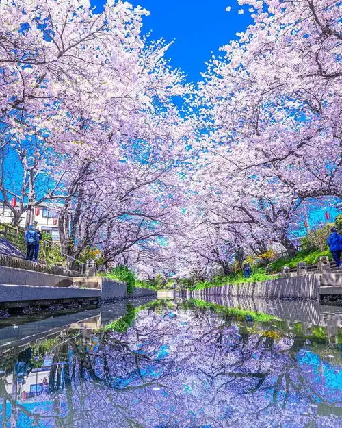 春夏风景摄影技巧6个,日常摄影必备,照片想好看一点也不难