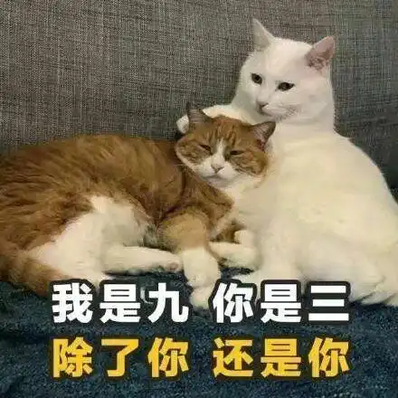 有什么可以甜到男孩子的情话