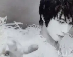 成熟阳光清新集中营像王子一样有名的男性top10