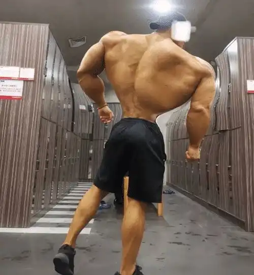 终于知道张无忌为什么摇摆不定了哈哈哈只恨不是韦小宝