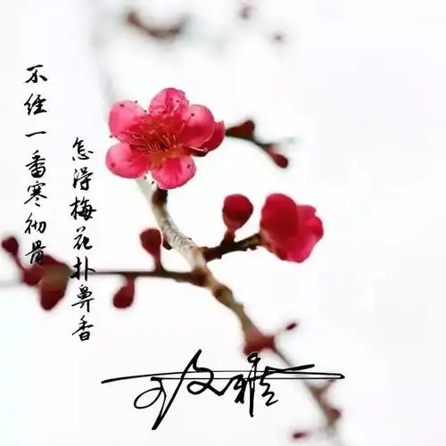 新款3d金属立体签名头像,40款高清大气简约头像,请查收带走