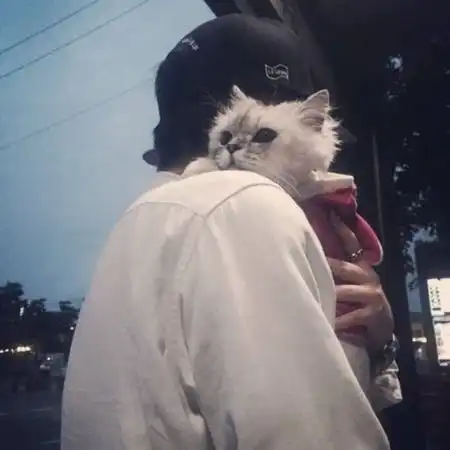 网易cc直播大型游戏娱乐直播平台